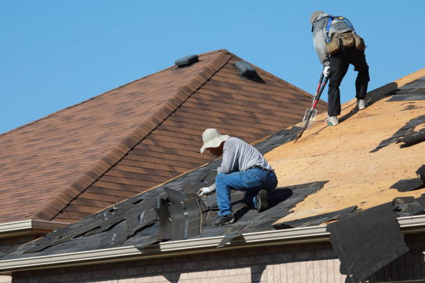 Best Asphalt Shingles Roofing  in Sunnyside, GA