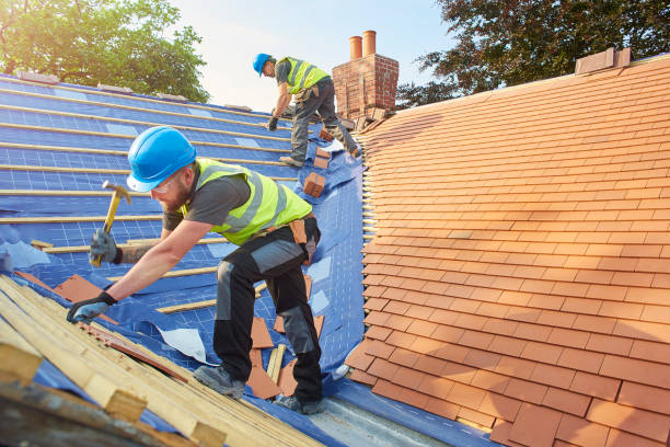 Best Skylight Installation and Repair  in Sunnyside, GA